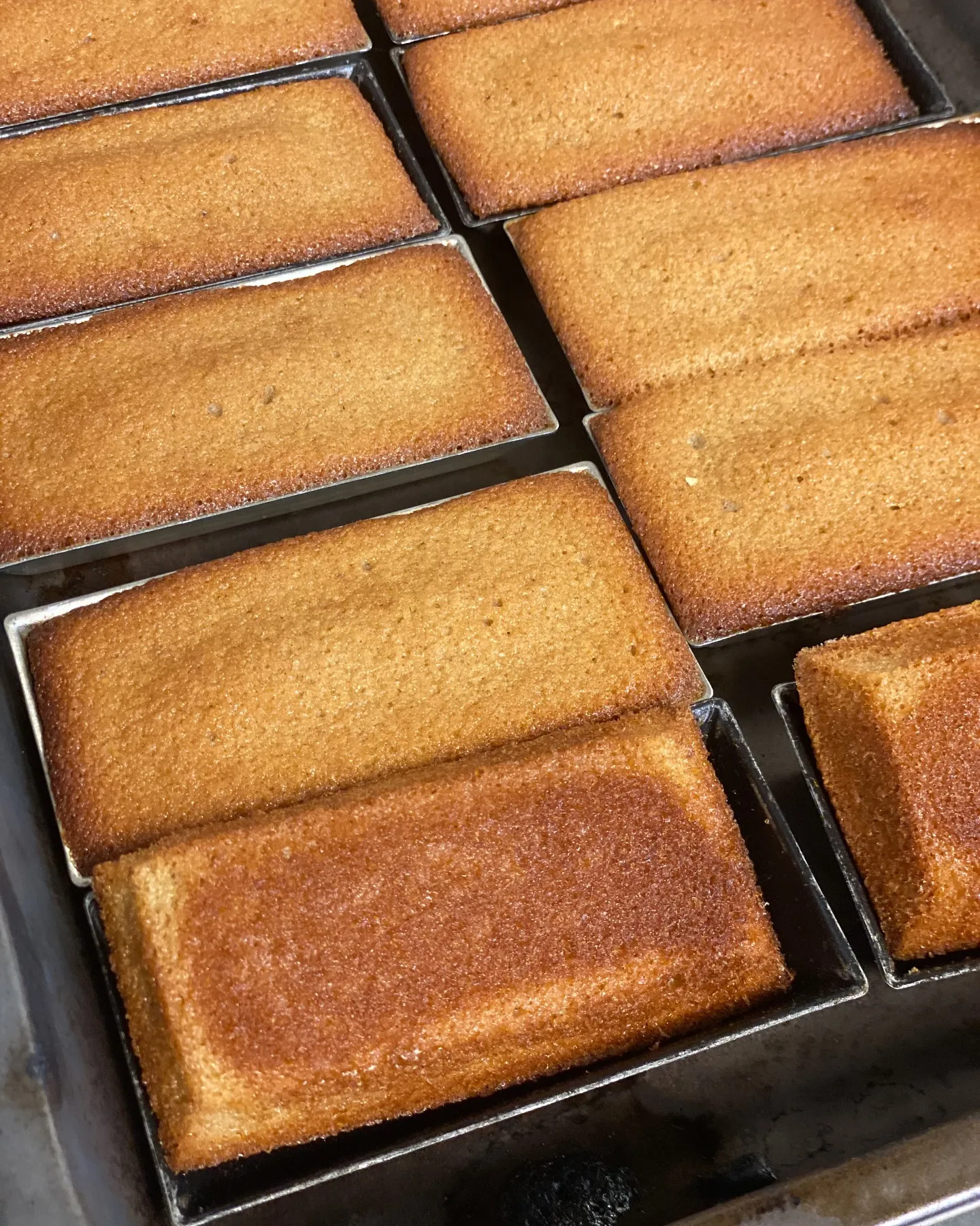 サイフォンで入れるフルーツハーブティーと一緒に焼き立てのフィ...