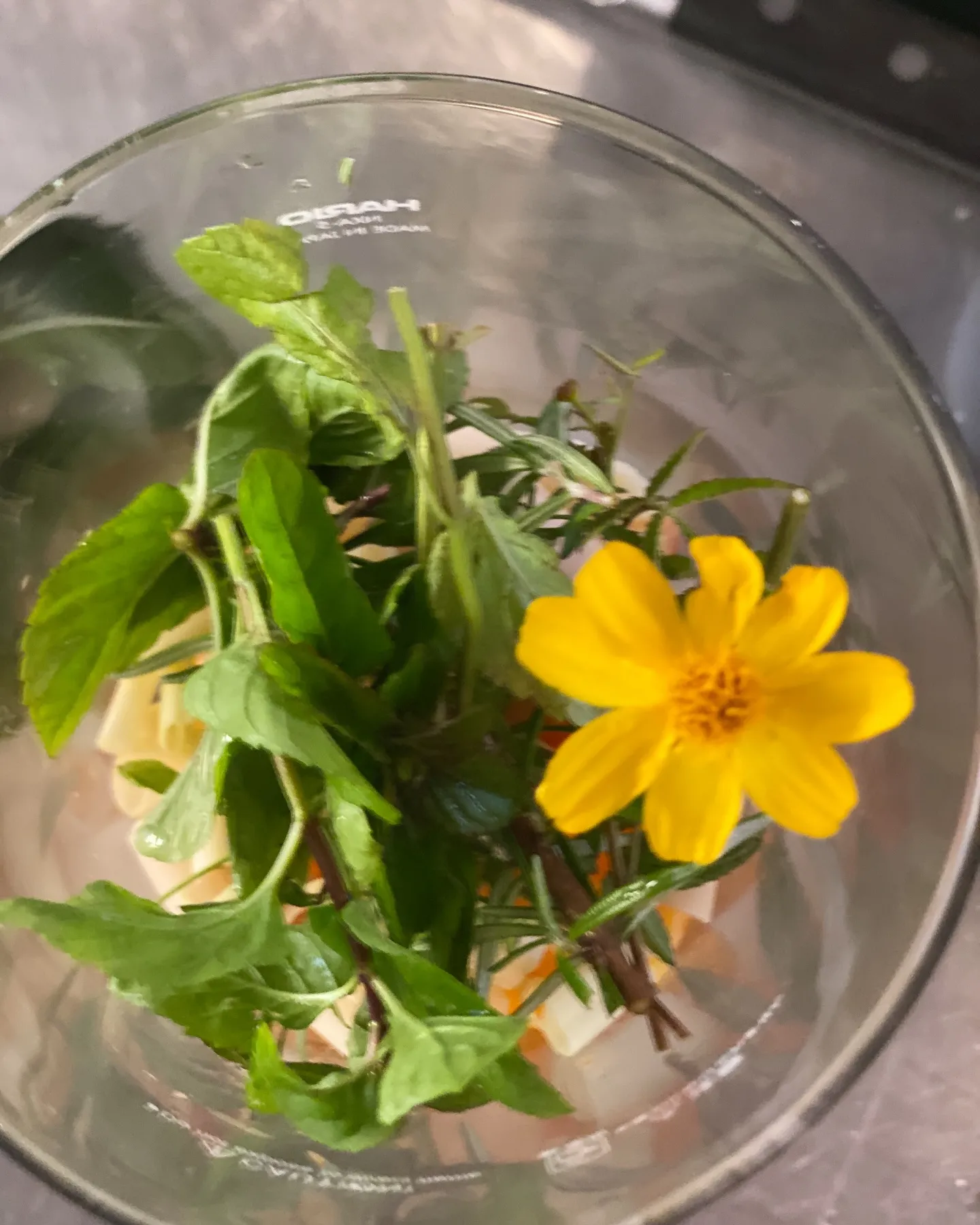 サイフォンで入れるフルーツハーブティーと一緒に焼き立てのフィ...