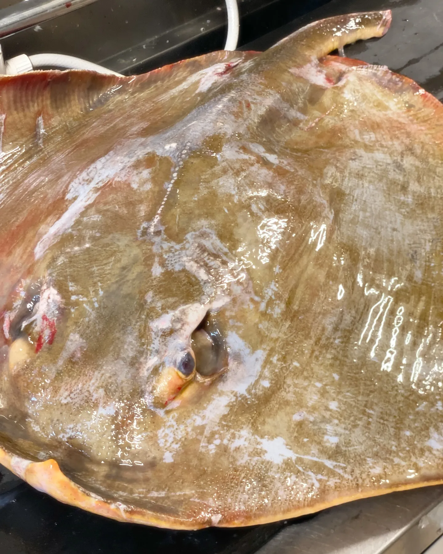 Soil Restaurantソイルレストラン、ディナーコー...