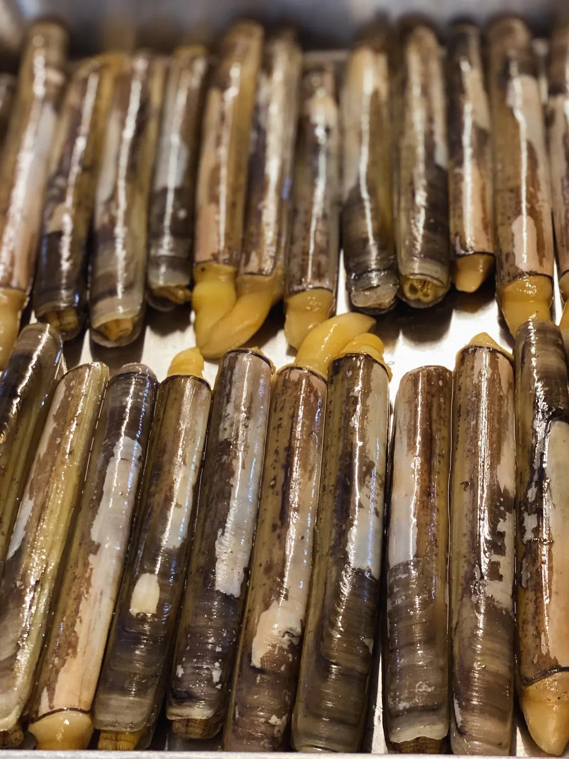 5月のSoil Restaurantのランチ、ディナーコース...