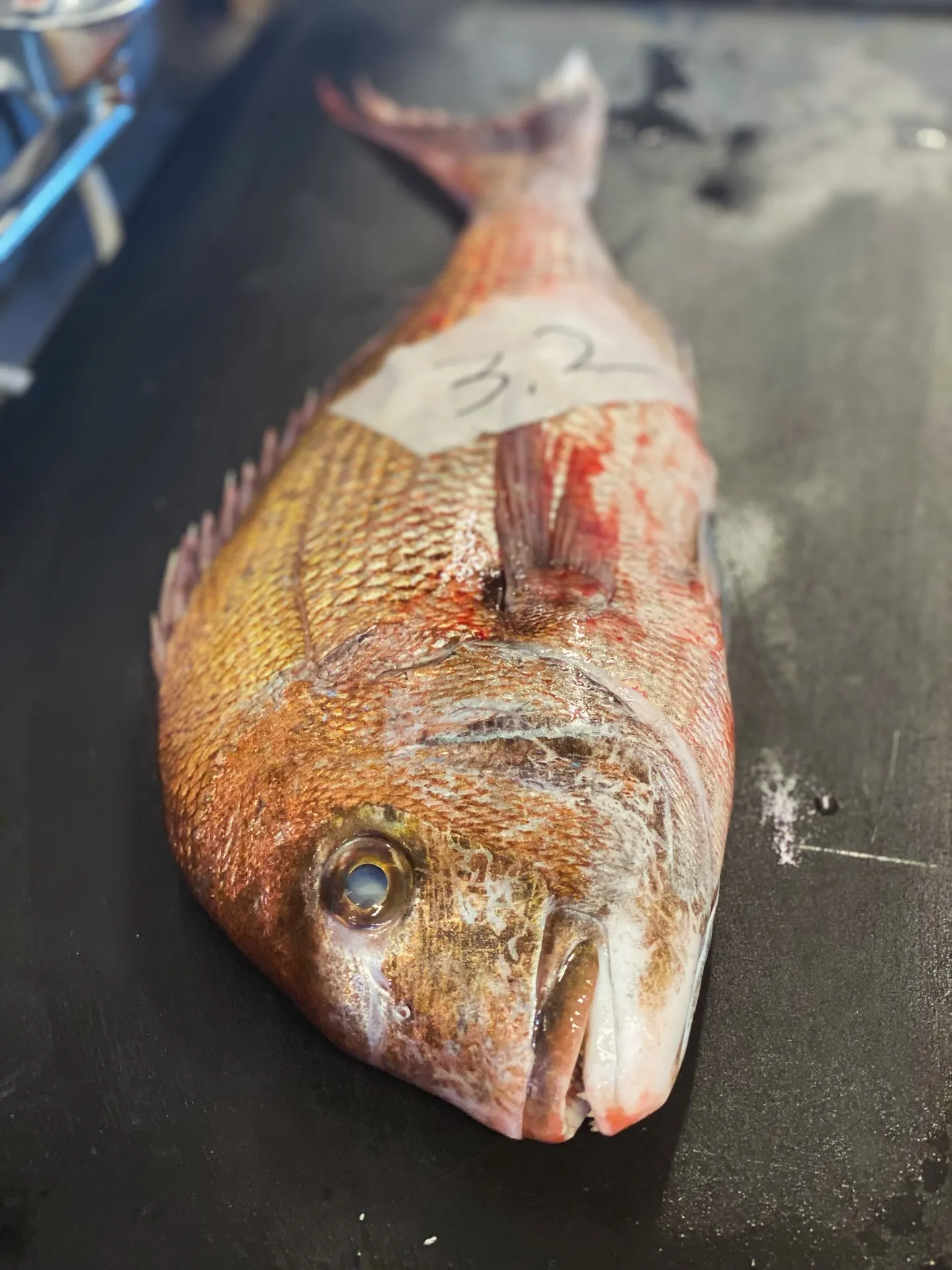 5月のSoil Restaurantのランチ、ディナーコース...