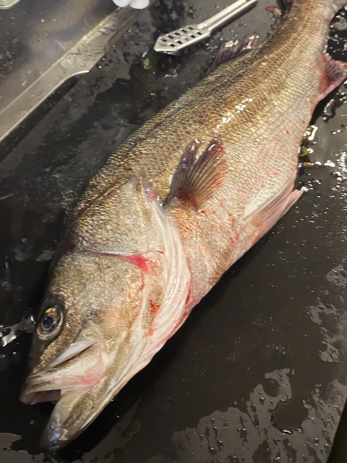 5月のSoil Restaurantのランチ、ディナーコース...