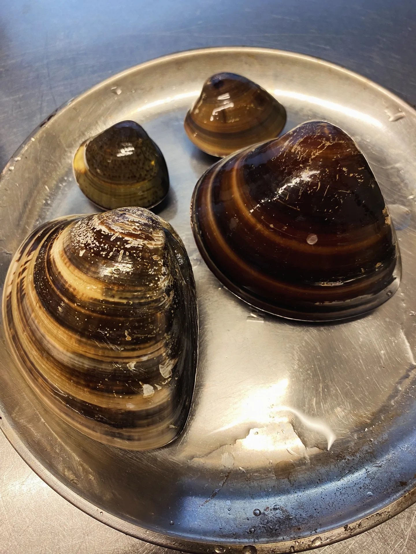 5月のSoil Restaurantのランチ、ディナーコース...