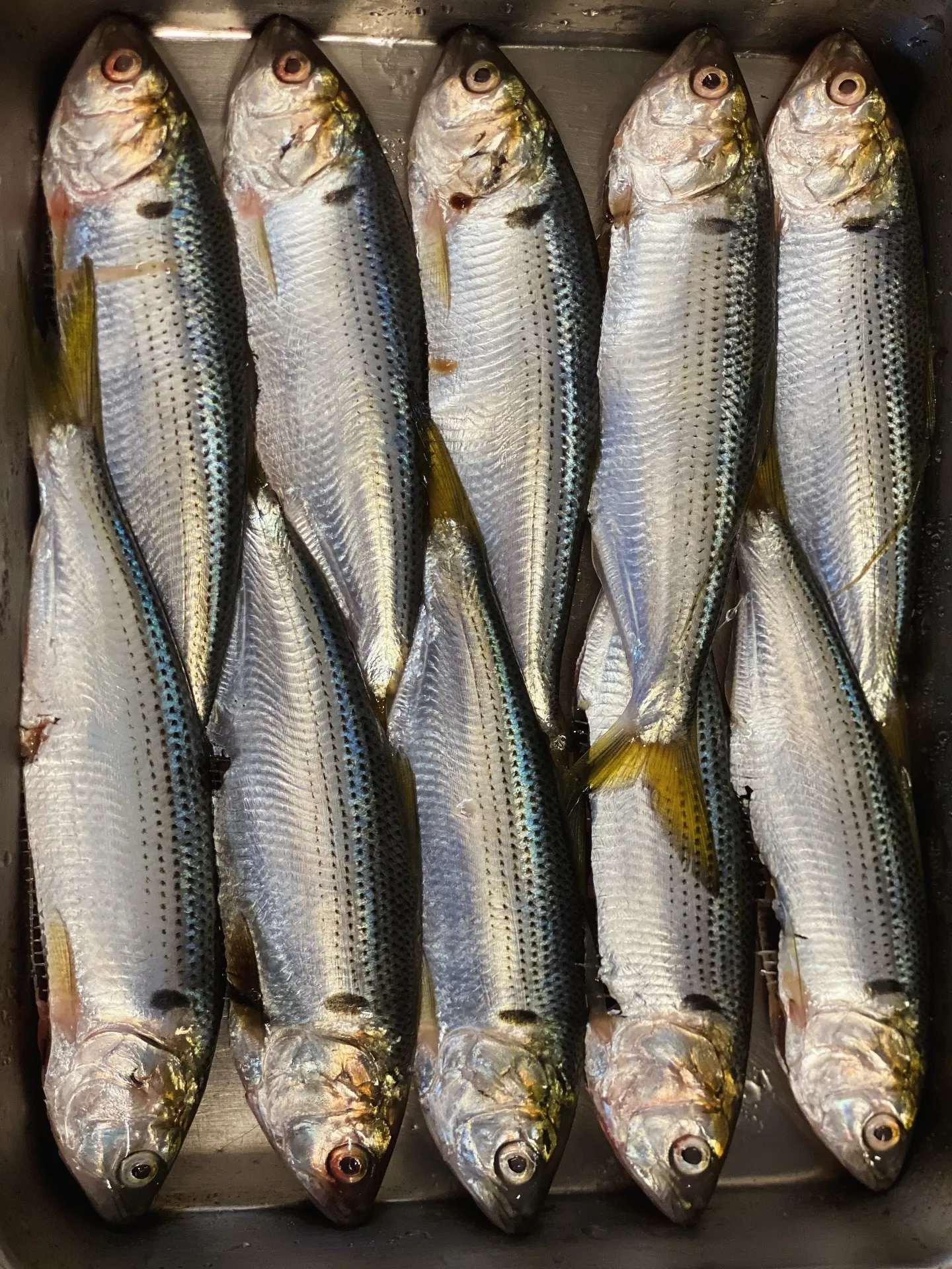 5月のSoil Restaurantのランチ、ディナーコース...