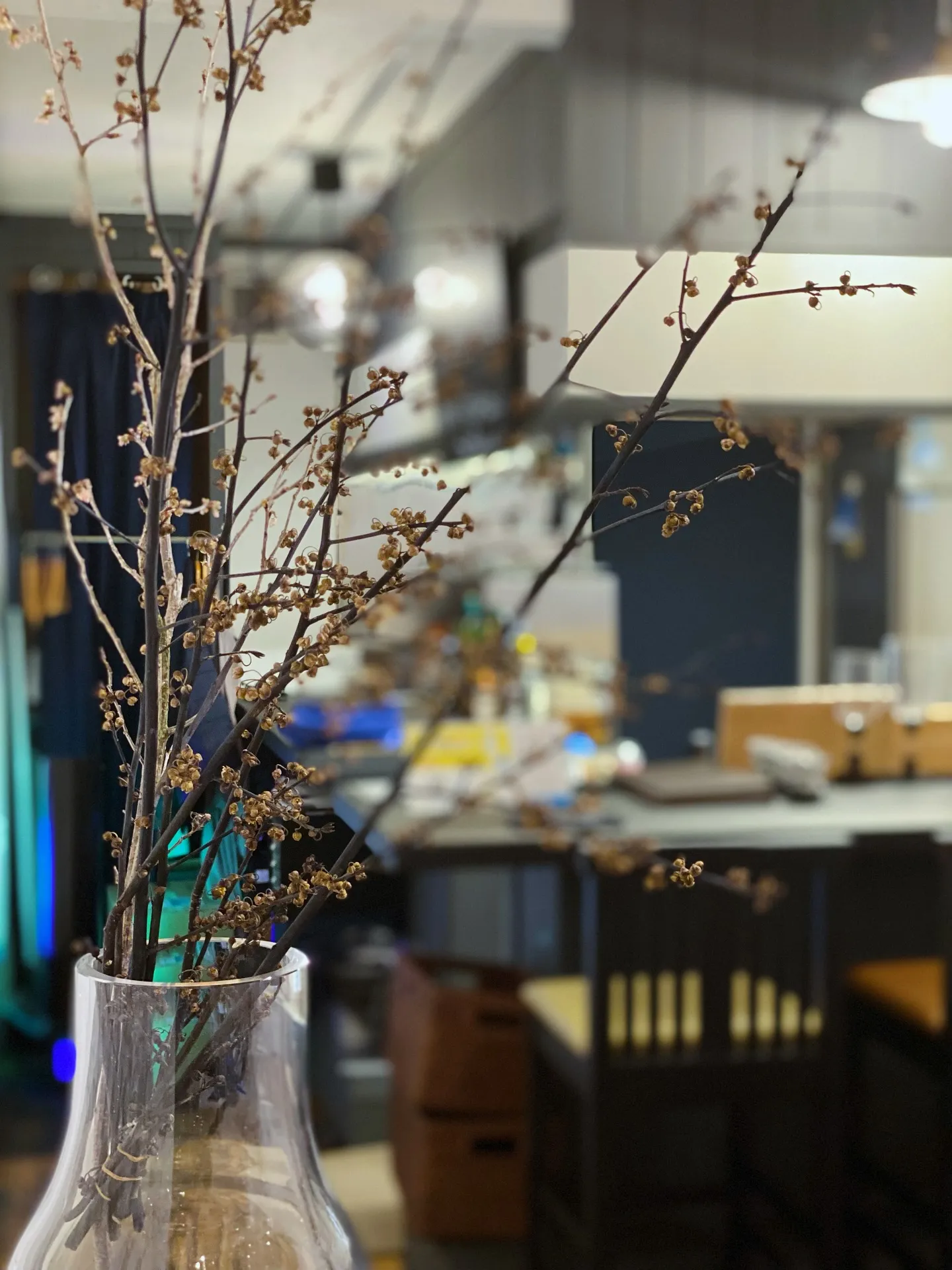 【Soil Restaurantは1周年を迎えました】