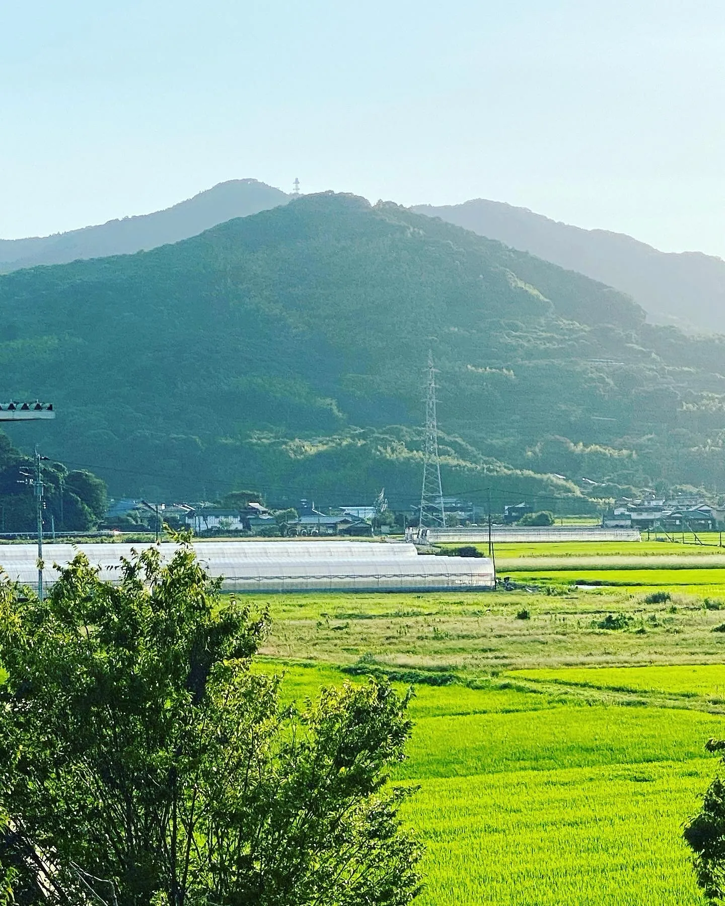 【8月18日(日)〜21日(水)臨時休業のお知らせ】