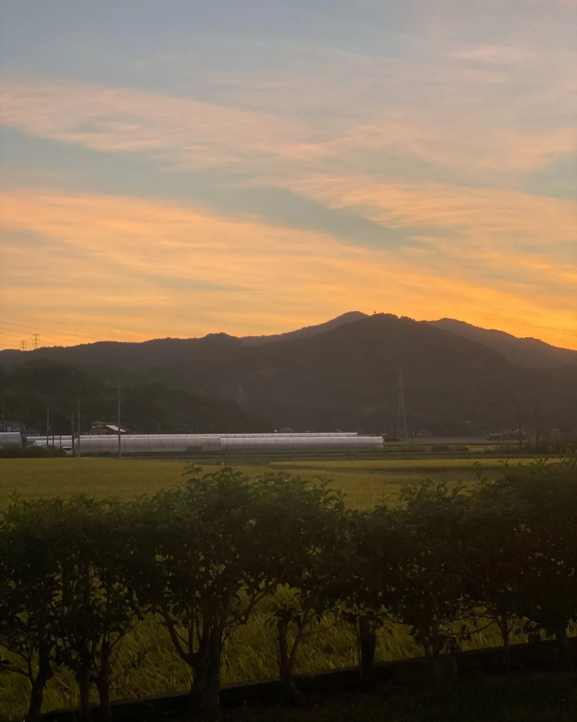【8月18日(日)〜21日(水)臨時休業のお知らせ】