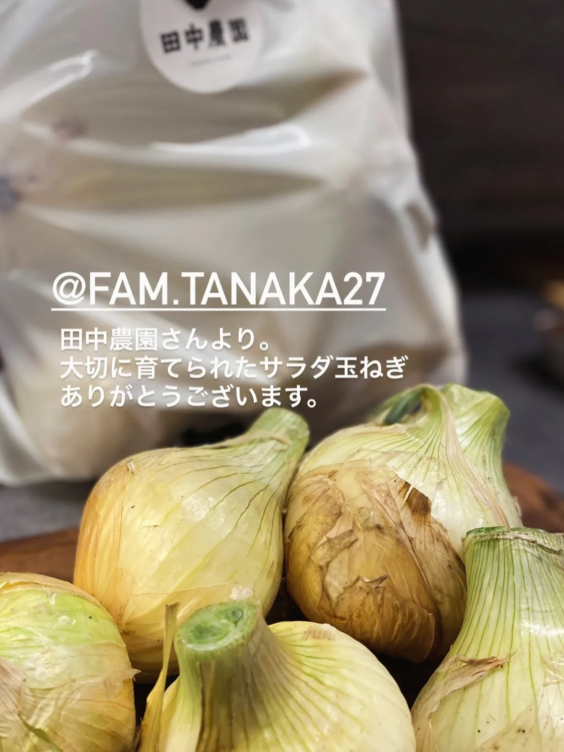 日々の料理は、