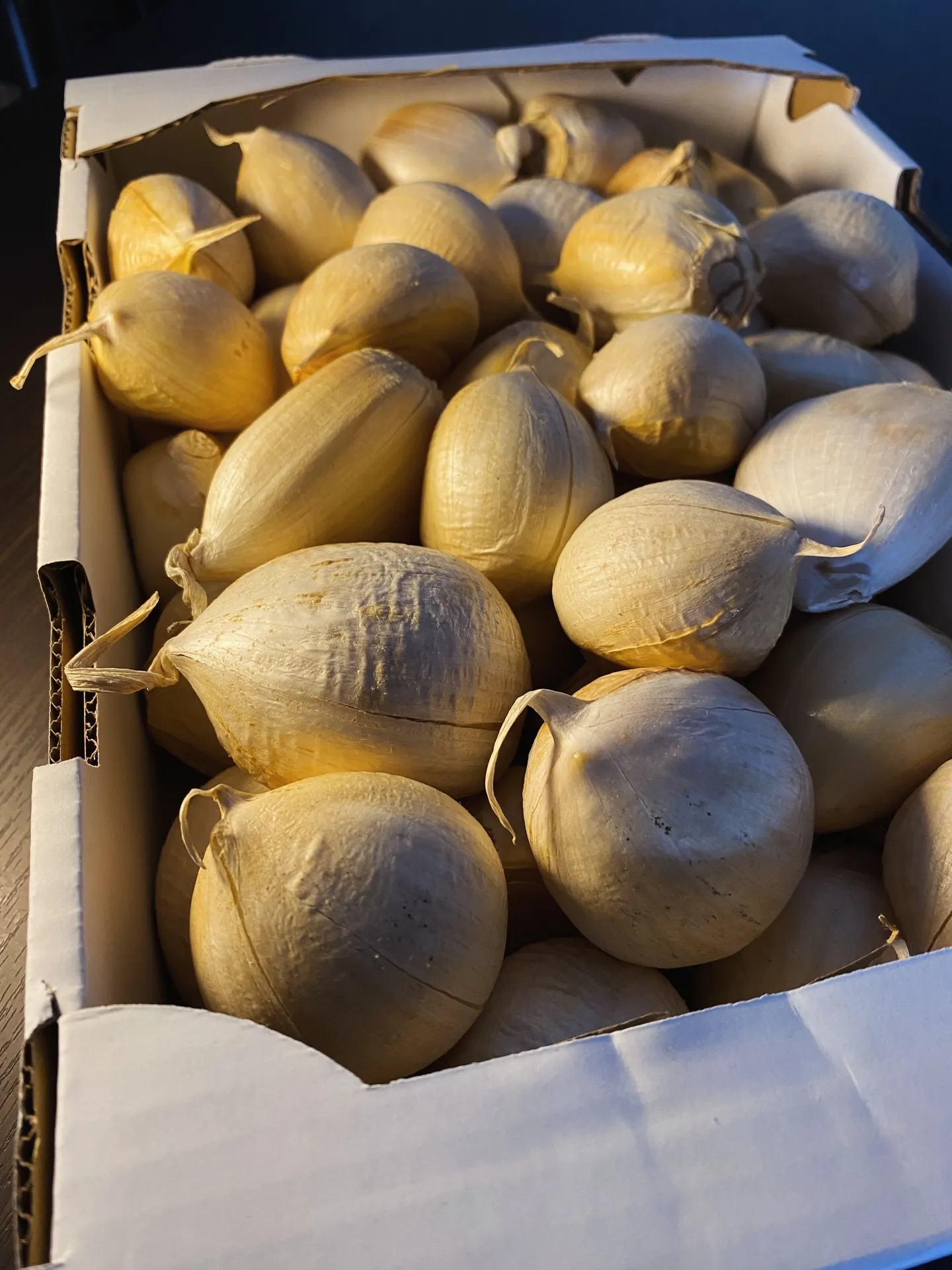 日々の料理は、