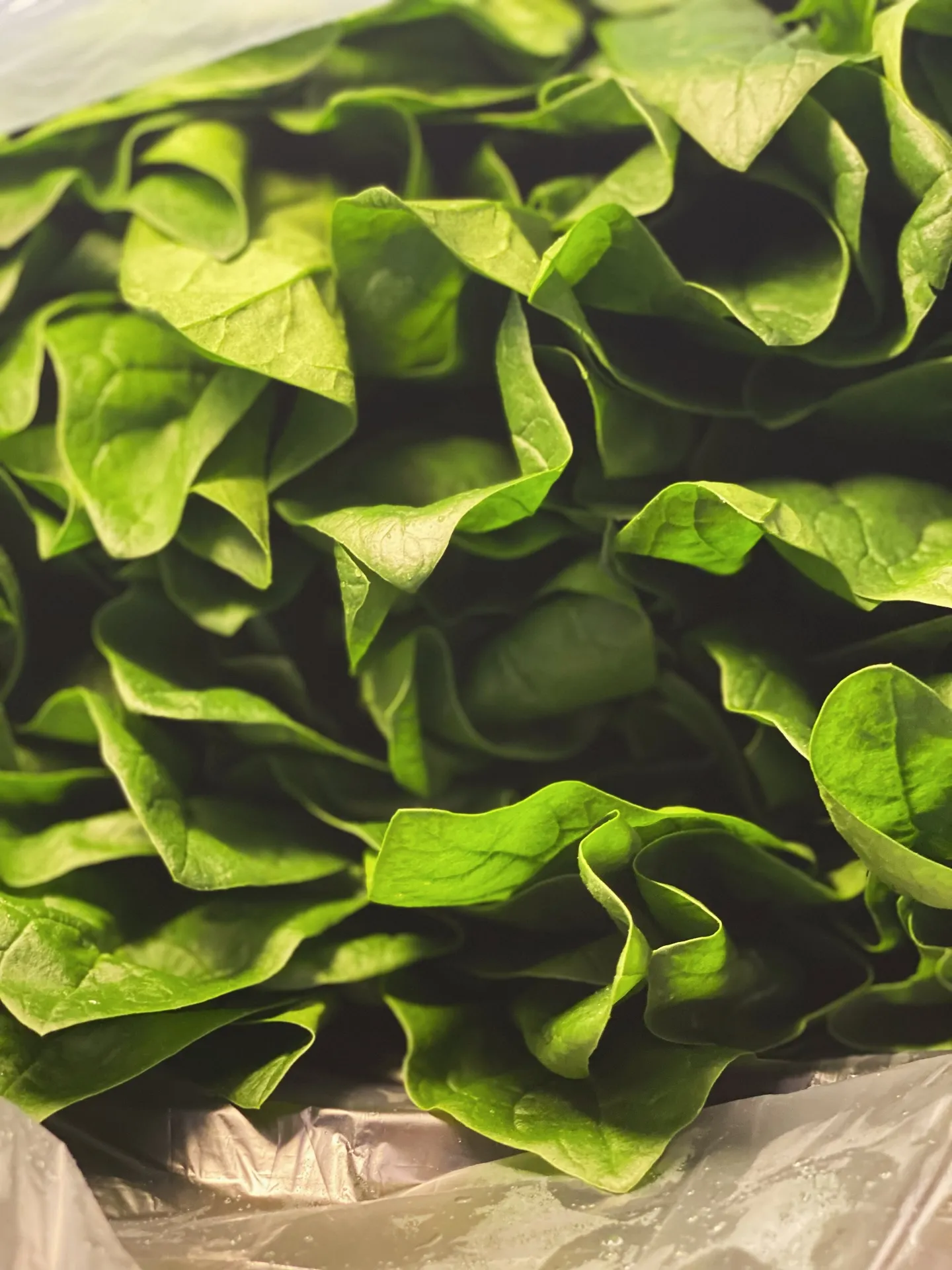 日々の料理は、