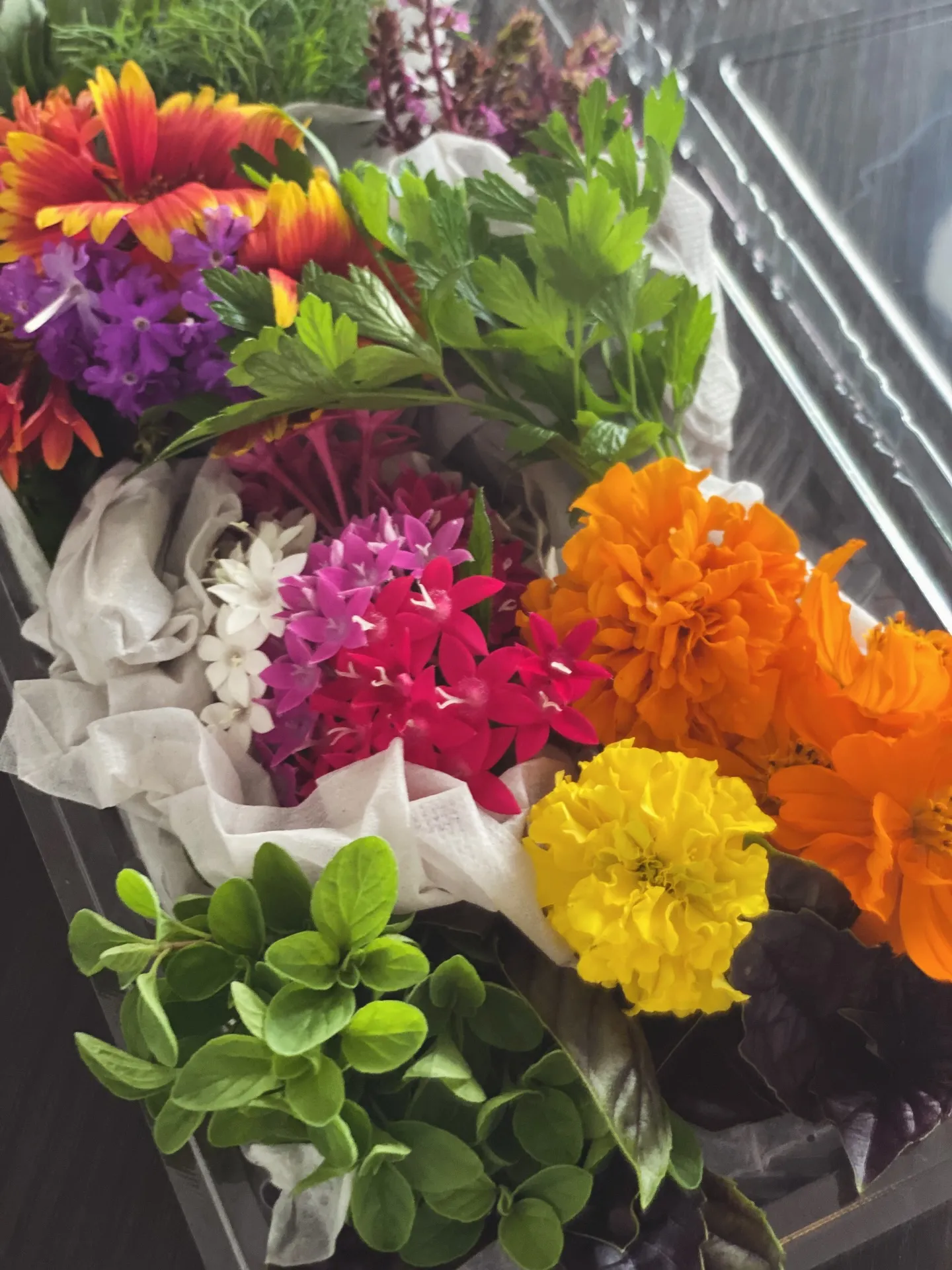 日々の料理は、