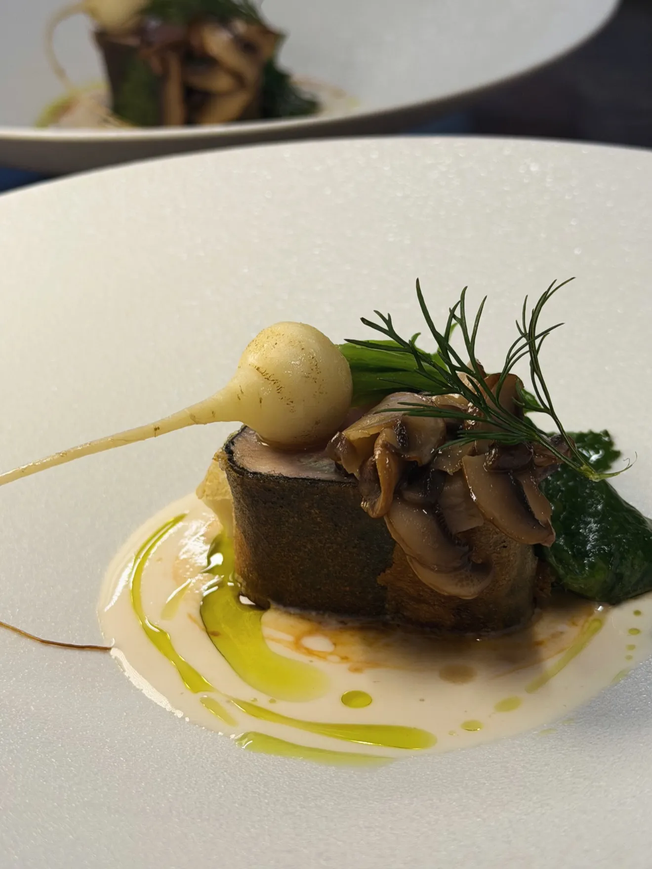 写真は、ある日のコースの一部です。