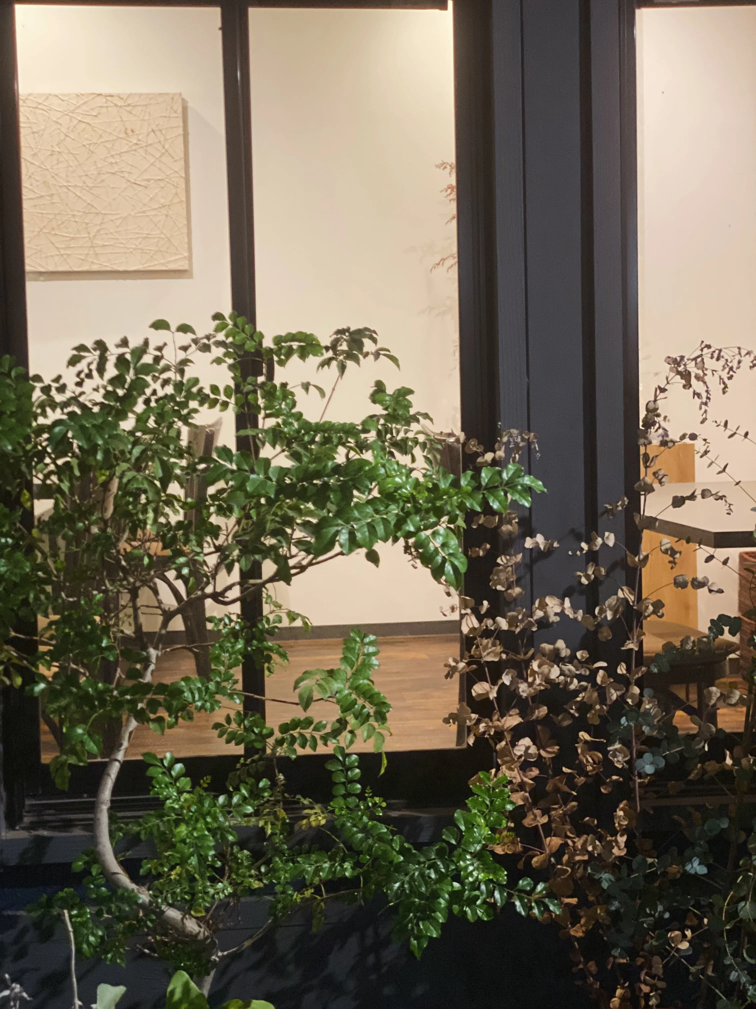 本日6月9日、Soil Restaurantは2周年を迎える...