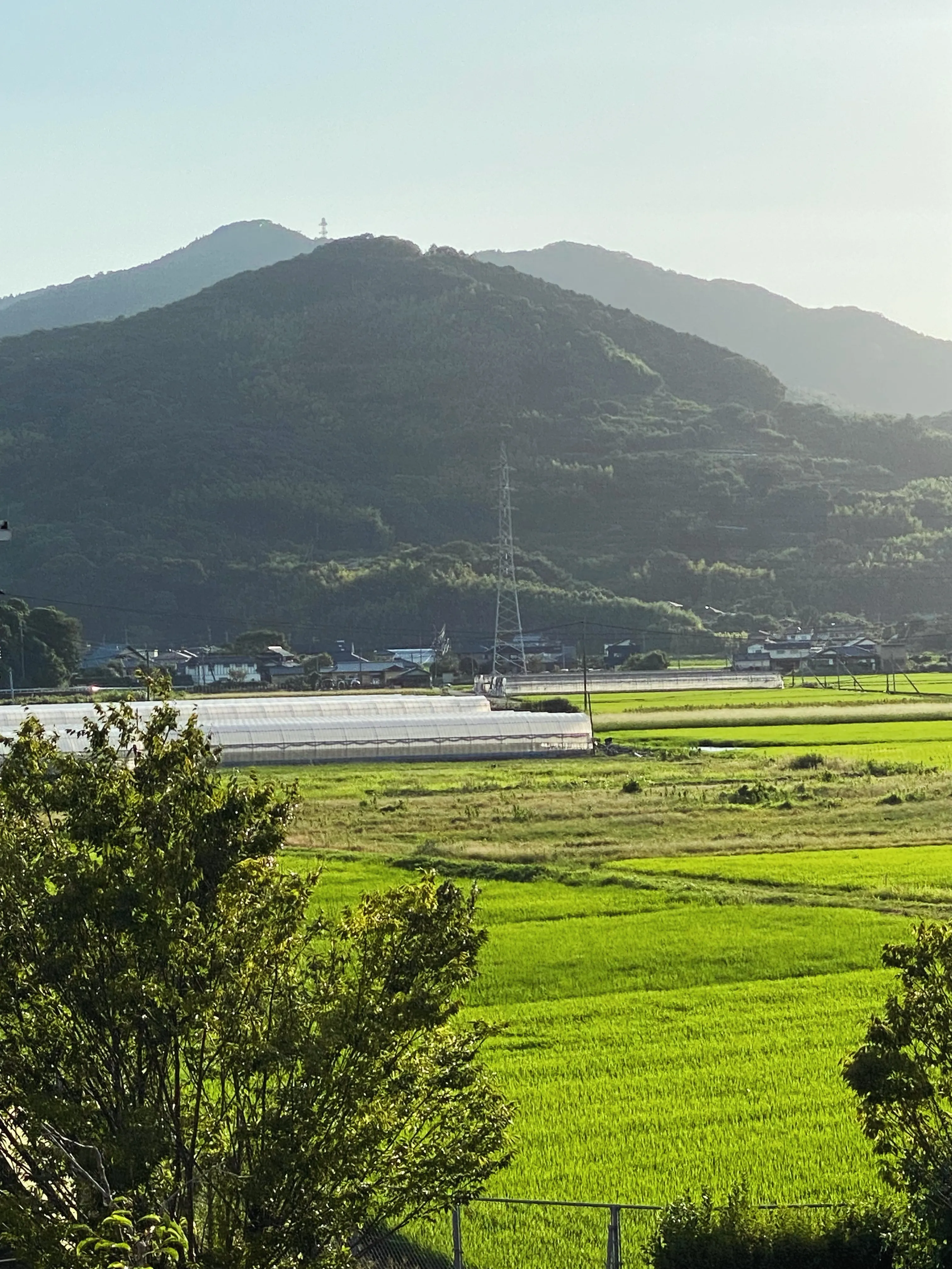 熊本で生まれ育ち、料理人としての一歩も熊本で踏み出しました。